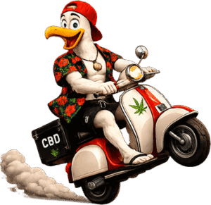Mascotte Ocean Rider se dirigeant vers la droite sur son scooter pour illustrer le conseil personnalisé et la livraison de CBD premium.