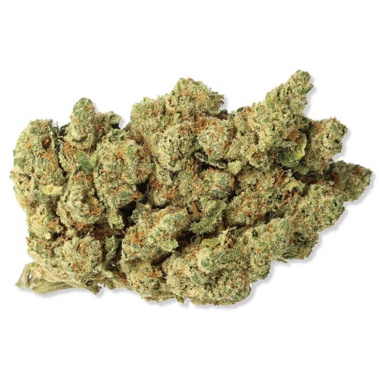 Amnesia Hydro 2.0, fleur CBD hydroponique