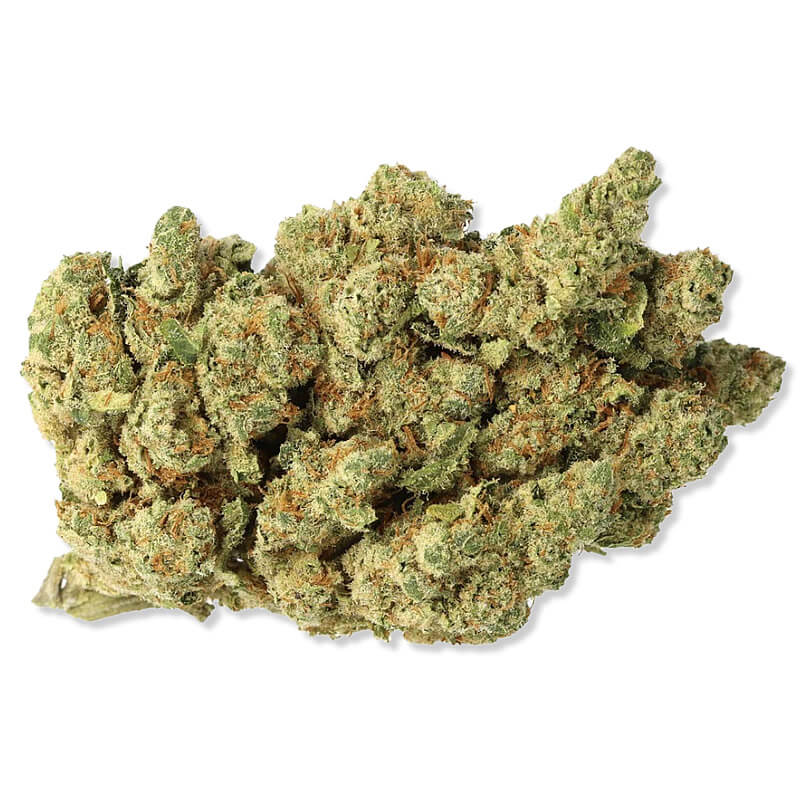 Amnesia Hydro 2.0, fleur CBD hydroponique