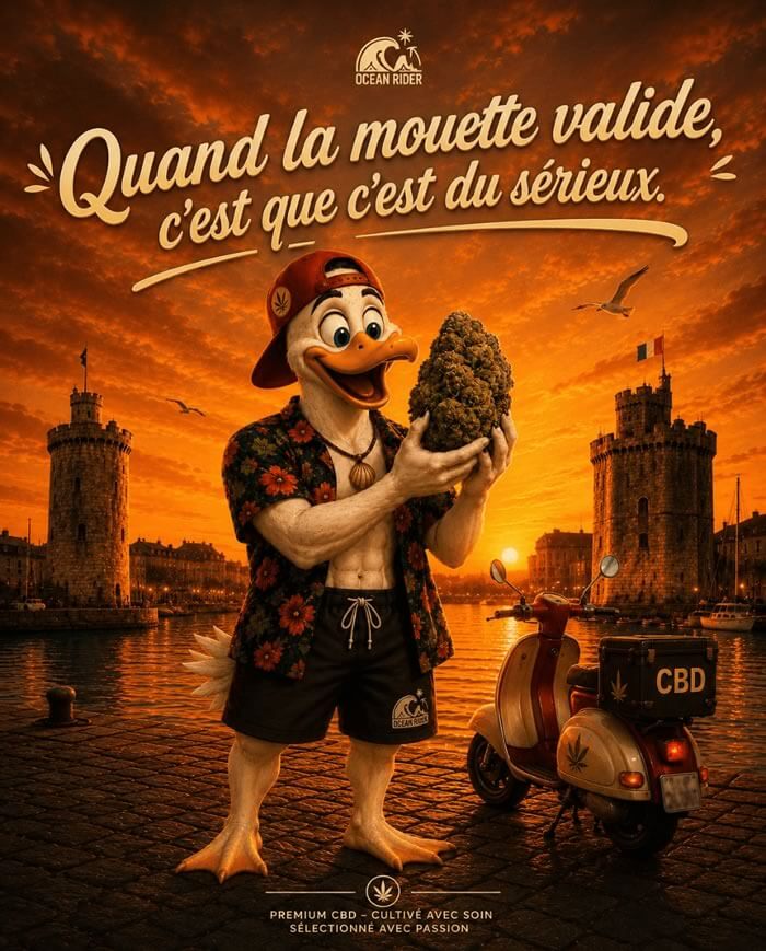 Fleur de CBD premium sélectionnée par Ocean Rider à La Rochelle