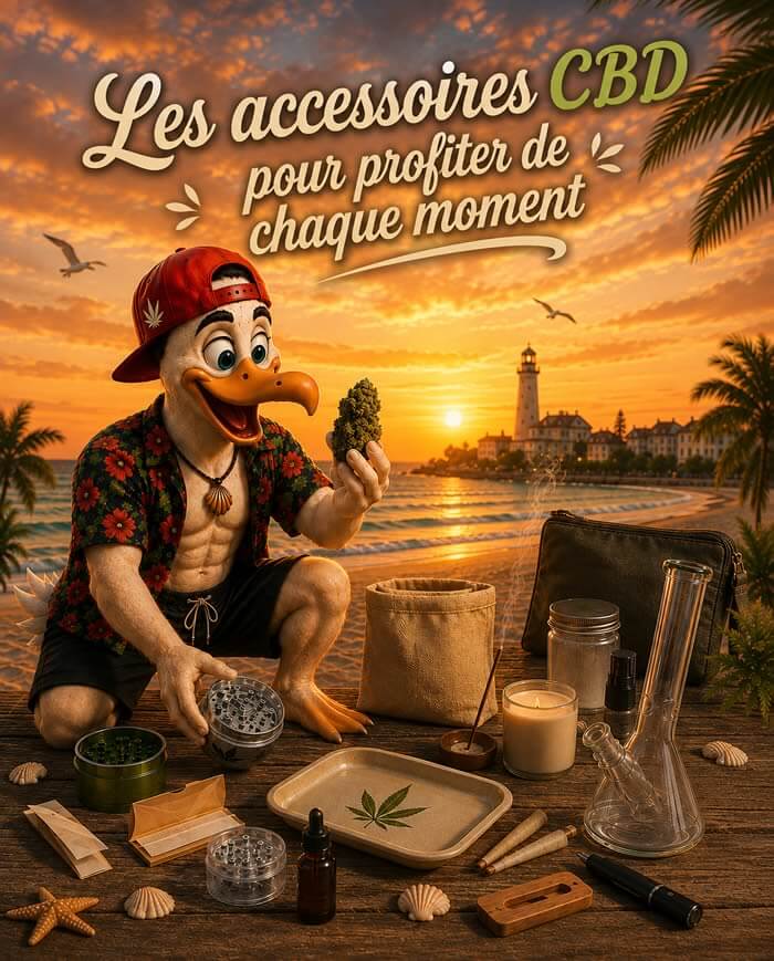Accessoires CBD à La Rochelle