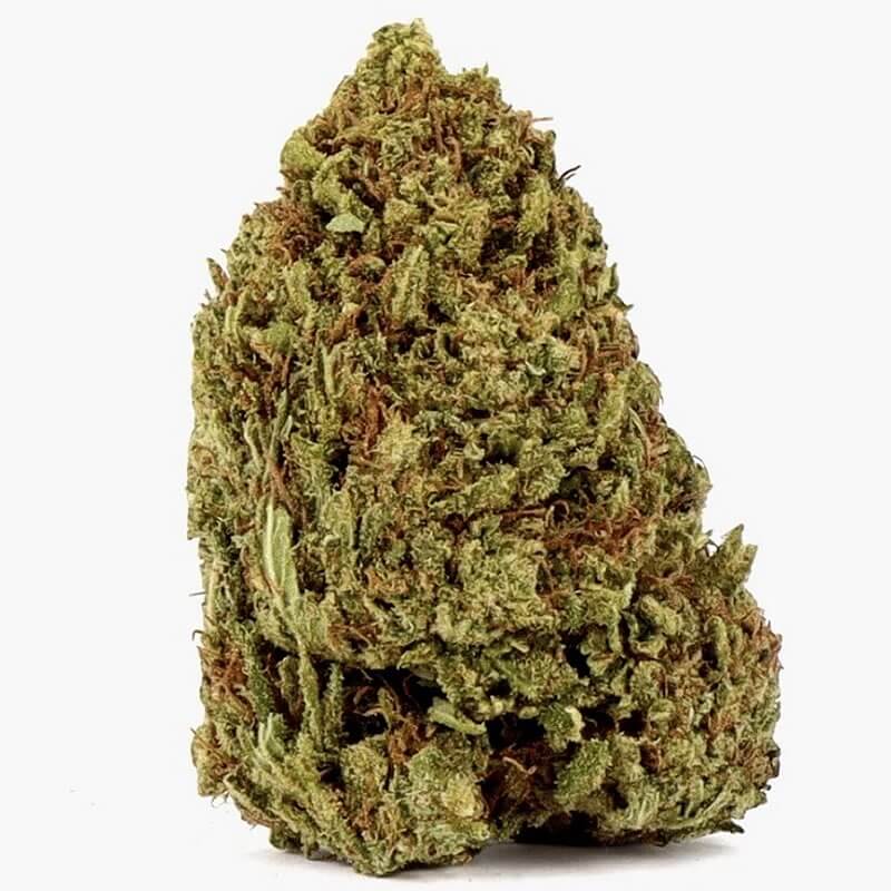 Blue Dream CBD, fleur CBD hydroponique cultivée en Europe