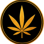 Produits CBD premium sélectionnés avec soin