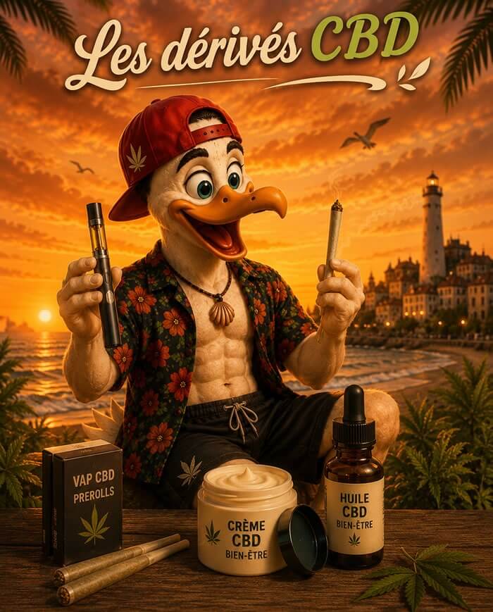Les dérivés CBD Ocean Rider : vape CBD, prerolls, crème et huile bien-être