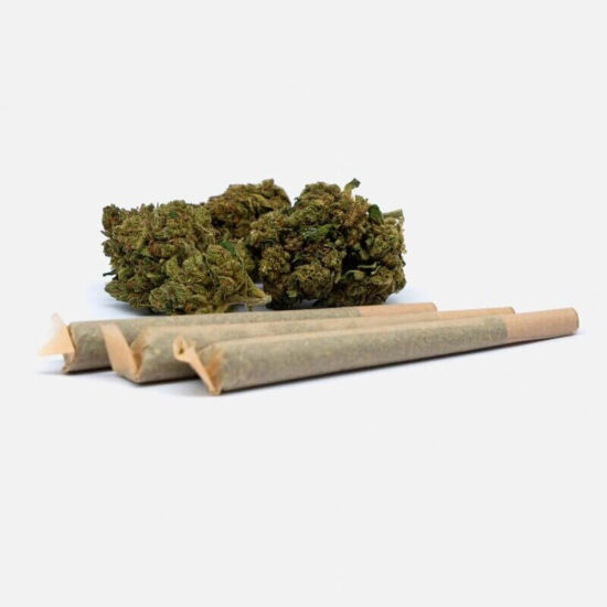 Pré-roll Amnesia CBD à base de fleur de chanvre