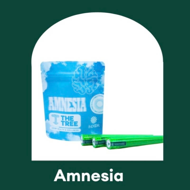Pré-roll CBD Amnesia