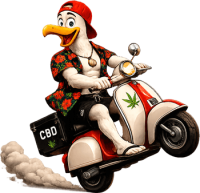 Mascotte Ocean Rider se dirigeant vers la droite sur son scooter pour illustrer le conseil personnalisé et la livraison de CBD premium.