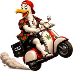 Mascotte Ocean Rider se dirigeant vers la droite sur son scooter pour illustrer le conseil personnalisé et la livraison de CBD premium.